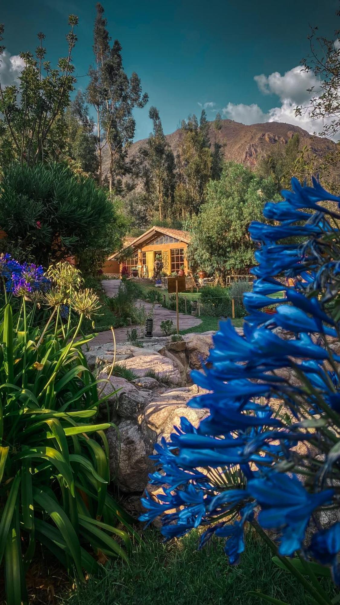 Hotel Andean Wings Valley