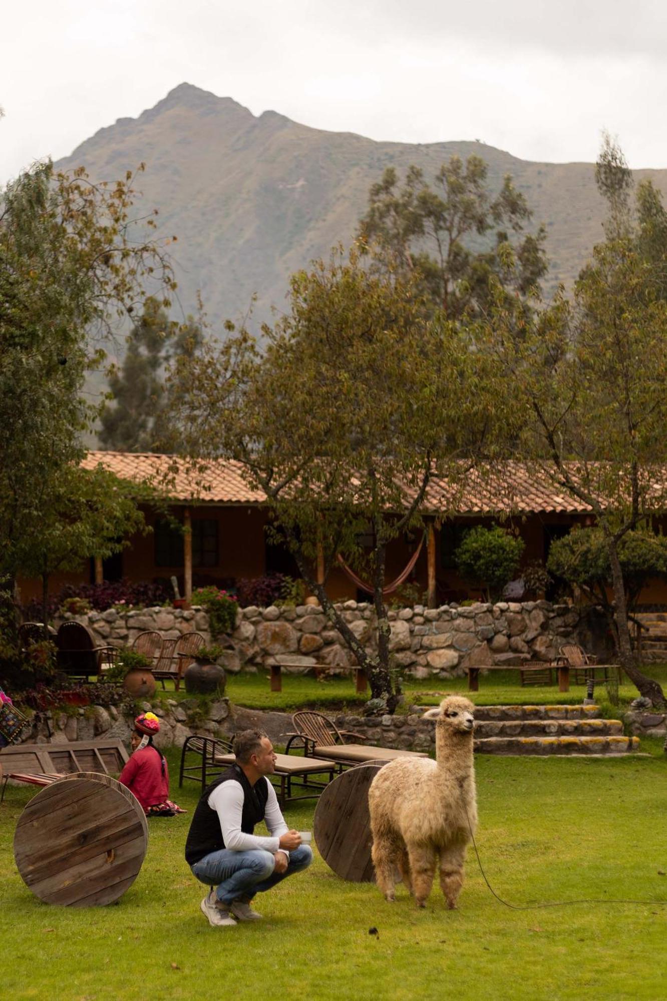 Andean Wings Valley Hotel Urubamba